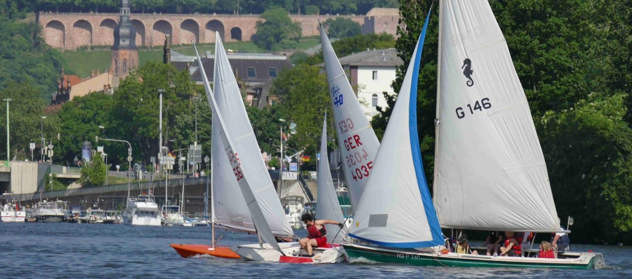 Segelregatta auf dem Neckar.