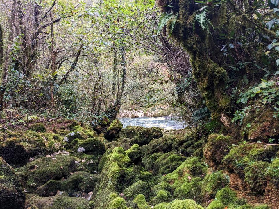 Blick von einer Karsthöhle im Dschungel runter auf den Khobi Blick von einer Karsthöhle im Dschungel runter auf den Khobi