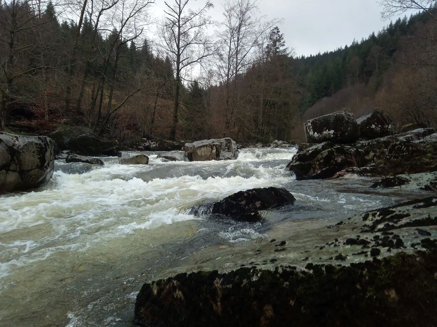 Mittlere Murg im Januar 2024