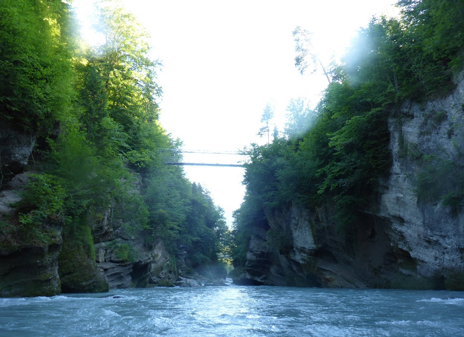 07 P1060685 01